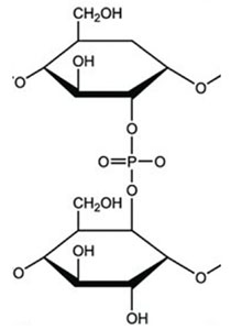 志聖食品技師最新詳解