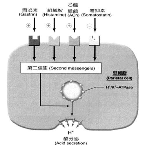 1-2.jpg#s-500,510